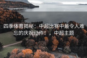 四季体育揭秘：中超比赛中最令人难忘的庆祝动作！，中超主题