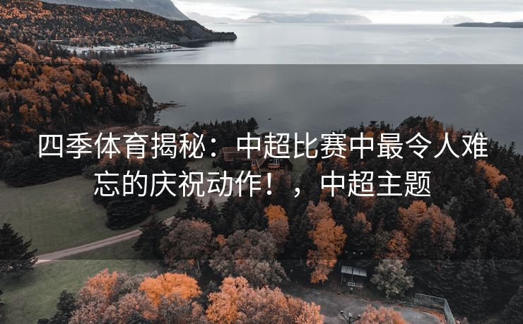 四季体育揭秘：中超比赛中最令人难忘的庆祝动作！，中超主题
