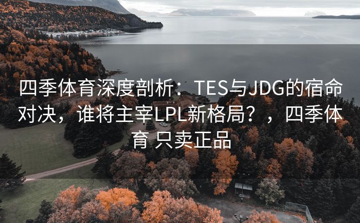 四季体育深度剖析：TES与JDG的宿命对决，谁将主宰LPL新格局？，四季体育 只卖正品