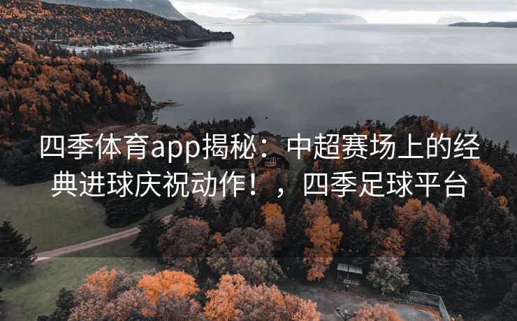 四季体育app揭秘：中超赛场上的经典进球庆祝动作！，四季足球平台