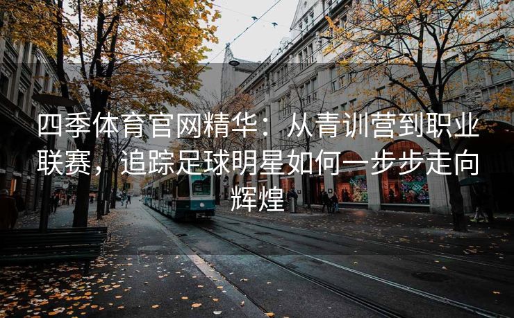 四季体育官网精华：从青训营到职业联赛，追踪足球明星如何一步步走向辉煌